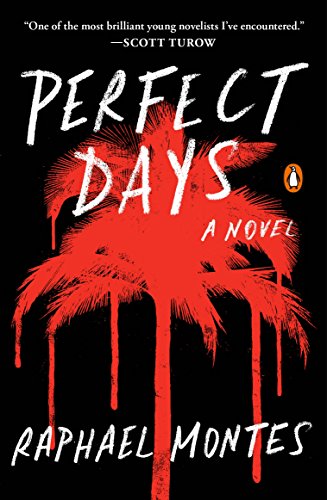 Perfect Days, de Raphael Montes